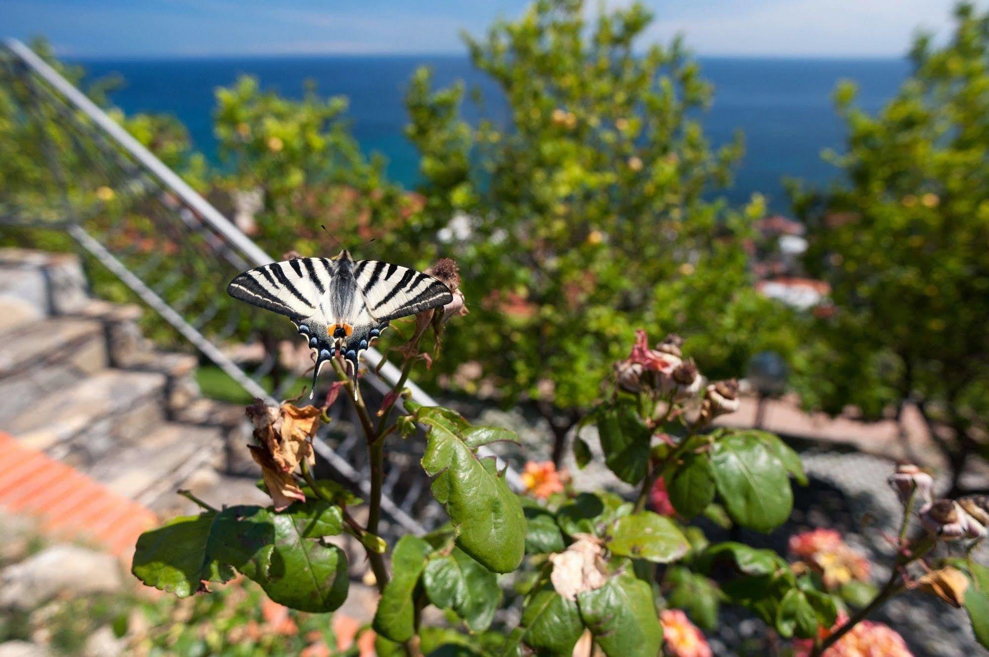 Le Terrazze Appartamenti Vacanze San Remo Exterior foto